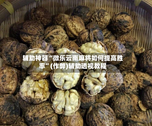 辅助神器“微乐云南麻将如何提高胜率”(作弊)辅助透视教程