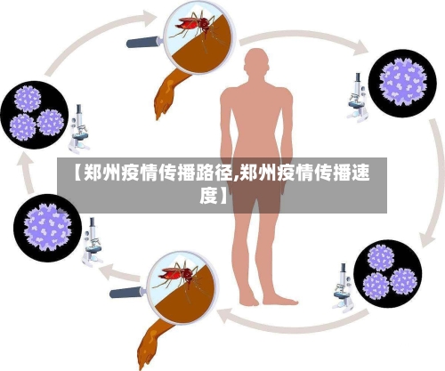 【郑州疫情传播路径,郑州疫情传播速度】