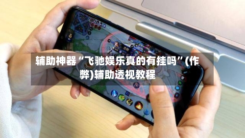 辅助神器“飞驰娱乐真的有挂吗”(作弊)辅助透视教程-第3张图片