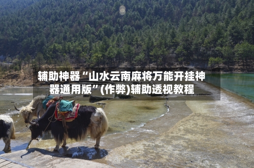 辅助神器“山水云南麻将万能开挂神器通用版”(作弊)辅助透视教程-第2张图片