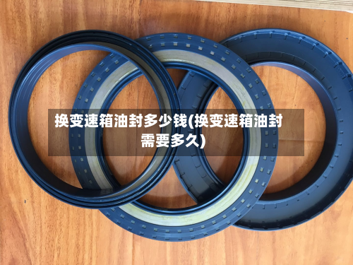 换变速箱油封多少钱(换变速箱油封需要多久)-第2张图片