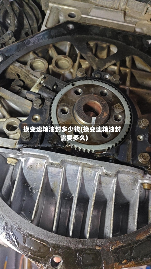 换变速箱油封多少钱(换变速箱油封需要多久)-第3张图片