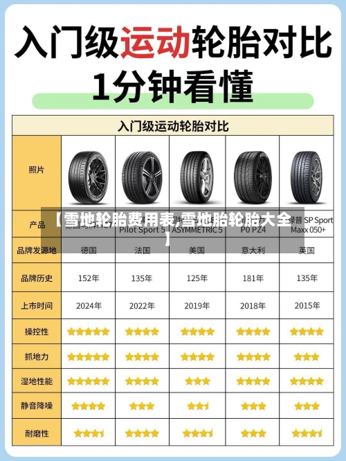 【雪地轮胎费用表,雪地胎轮胎大全】-第2张图片