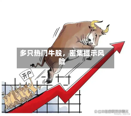 多只热门牛股，密集提示风险-第2张图片