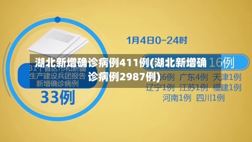湖北新增确诊病例411例(湖北新增确诊病例2987例)