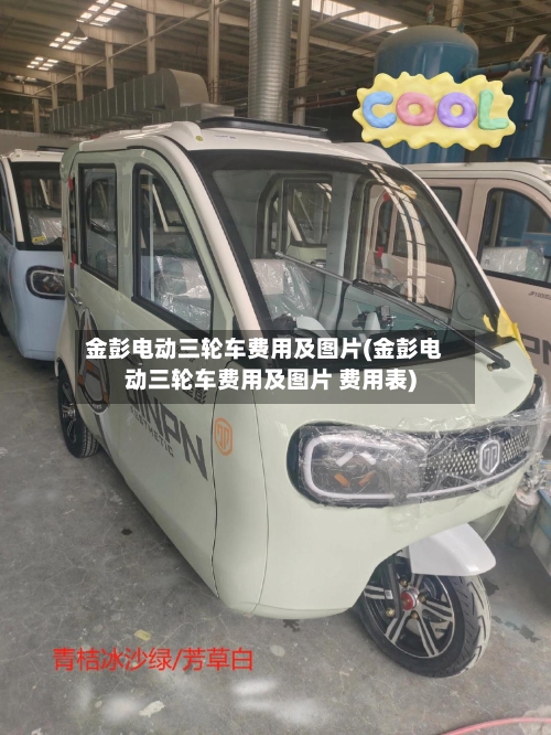 金彭电动三轮车费用及图片(金彭电动三轮车费用及图片 费用表)-第3张图片