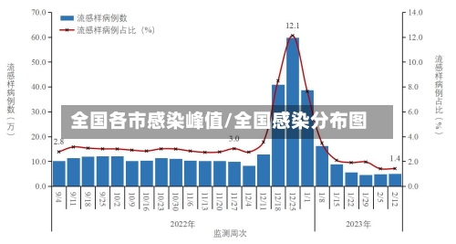 全国各市感染峰值/全国感染分布图