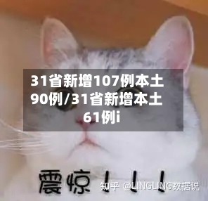 31省新增107例本土90例/31省新增本土61例i