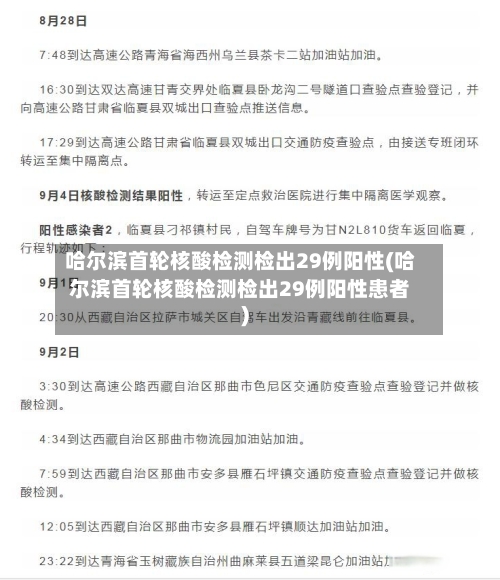 哈尔滨首轮核酸检测检出29例阳性(哈尔滨首轮核酸检测检出29例阳性患者)